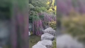 Крым.Семеиз.