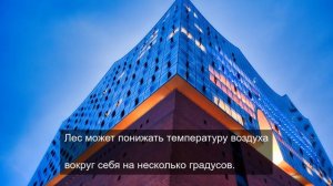 Обсуждение костей
