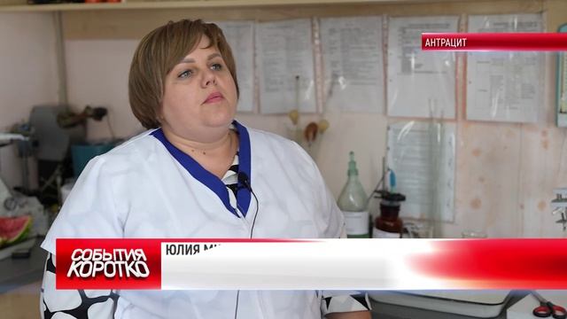 Коротко. СЕЗОН БАХЧЕВЫХ