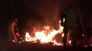 Бельгия пополнила список государств в Европе, где полыхают крупные природные пожары.