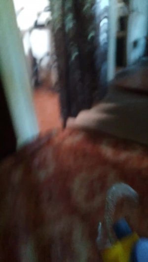 что то случилось срацими