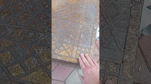 Традиционная городская выставка цветов и плодов в Центральном парке культуры и им. Ю.А. Гагарина
