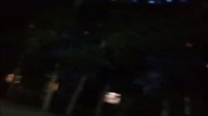вечер в лесу 🍃 страшно? нет, весело 🥳
