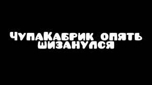 ЧупаКабрик шизанулся от карманов в карманах