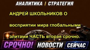 АНДРЕЙ ШКОЛЬНИКОВ О восприятии мира глобальными элитами ЧАСТЬ вторая срочно.
