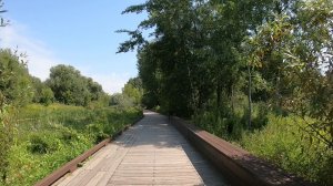Певческое Поле (река Яуза)