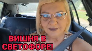 ВИШНЯ В СВЕТОФОРЕ! ОБНИЩАЛА🤣