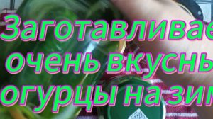 Заготавливаем очень вкусные огурцы на зиму