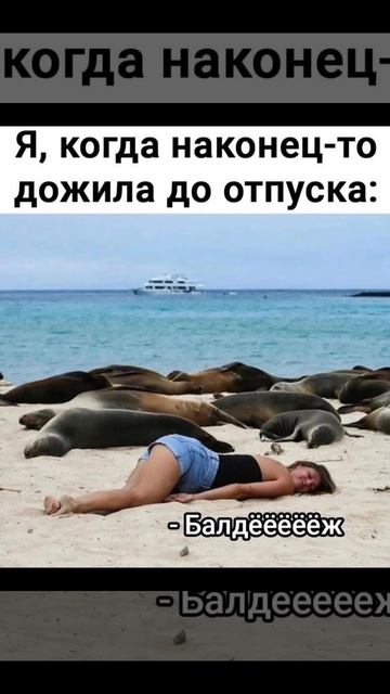 Отпуск . Юмор