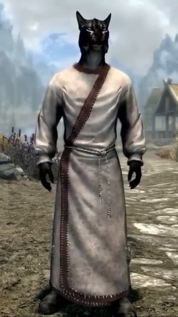 Редкий дар детей в игре Скайрим! #mrcatgame #skyrim #tes #скайрим #tes5 #elderscrolls
