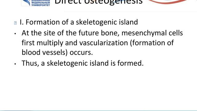 8 Connective Tissues. Bones And Cartilage. Muscle Tissue