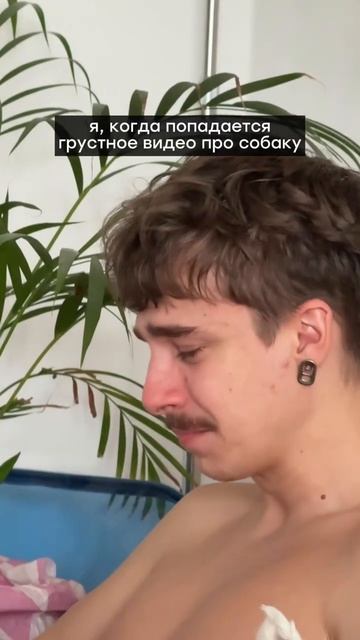 Ежедневно🥲

#смех #приколы #животные #юмор