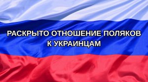 |Н. РФ| Раскрыто отношение поляков к украинцам
