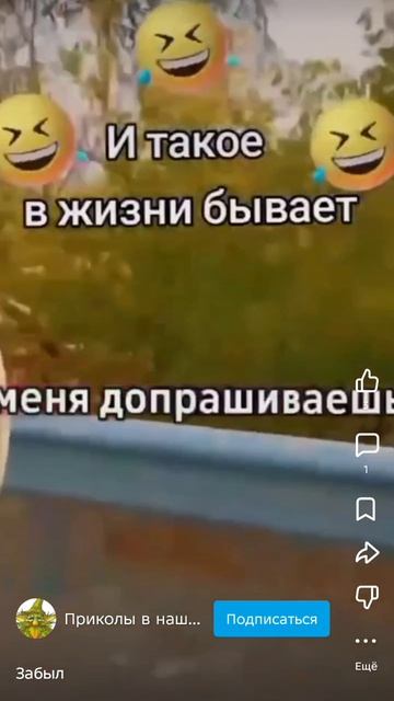жиза