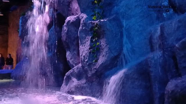 Оренбургский океанариум релакс от водопада и кто такие аксолотль 👍💖