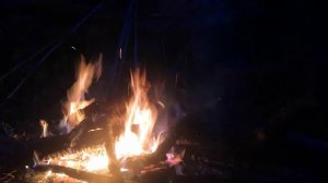 Завершение сезона: жгу костер и размышляю о движухе и о том что будет в будущем