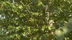 📸 Первые Первым 🌳 Моя малая Родина