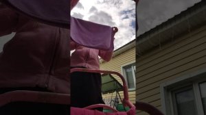 VID_20260815_131354703.mp4