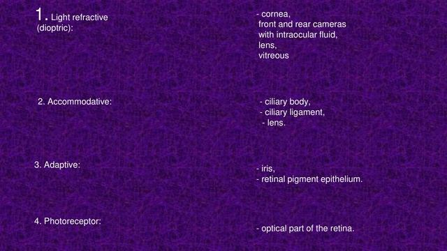 11 Sense Organs