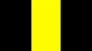 1000016994.mp4