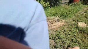 мой друг сдурел! И хочет мне отомстить за то что я его бросил