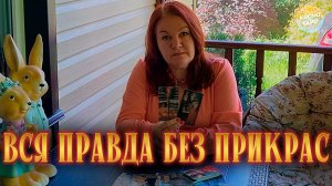 НИЧЕГО НЕ СПРАШИВАЙ! КАРТЫ САМИ ВСЕ РАССКАЖУТ! | Гадание таро расклад