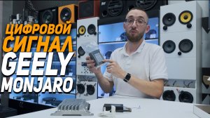 Цифровой сигнал ТРИОМА МОДЕРН - Аудиосистема GEELY MONJARO