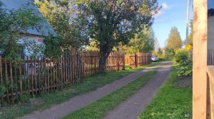Дача / Стройка / Плодовые🫐