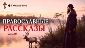 ЗОЛОТАЯ ГИРЯ НА КРЫЛЬЯХ ДУШИ ПРАВОСЛАВНЫЕ РАССКАЗЫ часть 96