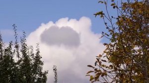 Готовим лаваш с зеленью.