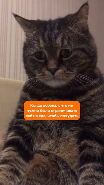 Как ДНК-тест помогает похудеть?
