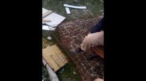 суд карлик судьи 1 сезон 1 серия