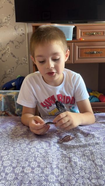 Передача про древних морских обитателей