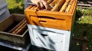 16 августа  МАТКУ НАДО ТОРМОЗИТЬ