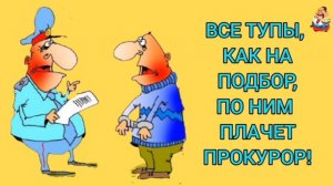 ВСЕ ТУПЫ, КАК НА ПОДБОР, ПО НИМ ПЛАЧЕТ ПРОКУРОР!