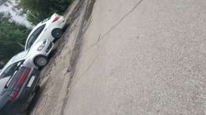 выкидываю мусор