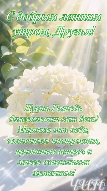 С добрым летним утром, Друзья!