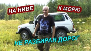 НА НИВЕ К МОРЮ БЕЗ ДОРОГ— ПРИКЛЮЧЕНИЯ НАЧИНАЮТСЯ