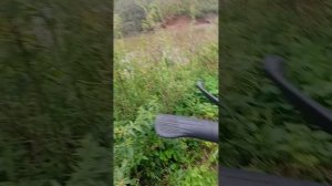 гуляем с другом 5 часть