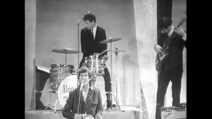 Wayne Fontana & The Mindbenders - Come On Home (1966)