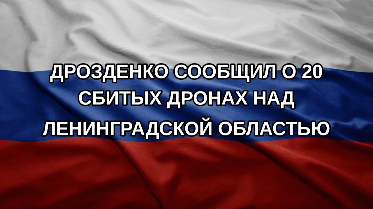 Дрозденко сообщил о 20 сбитых дронах над Ленинградской областью