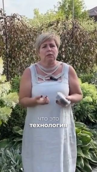 Простой способ поддержать гортензии — использовать торфяные таблетки АС-35 «Богатый сезон».