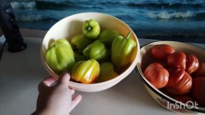 Очень насыщенный день без электричества. Жизнь на юге.