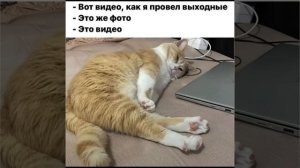Юмор . клип