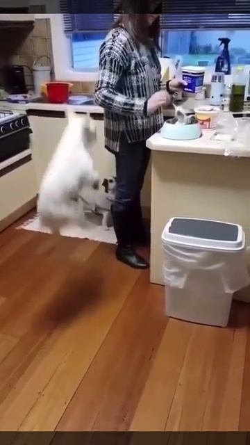 БЫВАЕТ