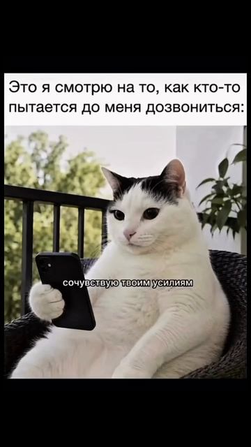 У меня любые звонки вызывают панику.  Вы за звонки или сообщения?