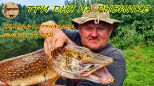 Трофейная рыбалка.Три дня на Рыбинке.#рыбалка ,#море,#лето ,#судак ,#щука ,#трофей,#троллинг ,