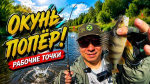 НАШЁЛ 2 РАБОЧИЕ ТОЧКИ НА ТОСНЕ — ОКУНЬ ВАЛИТ! На что поймаю больше: Мормышинг или Наноджиг?