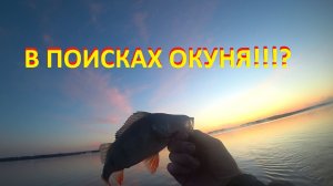 В поисках окуня!?