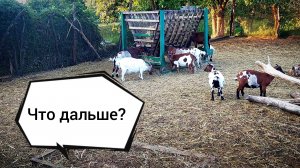 Мой новый путь: через трудности к лучшему?